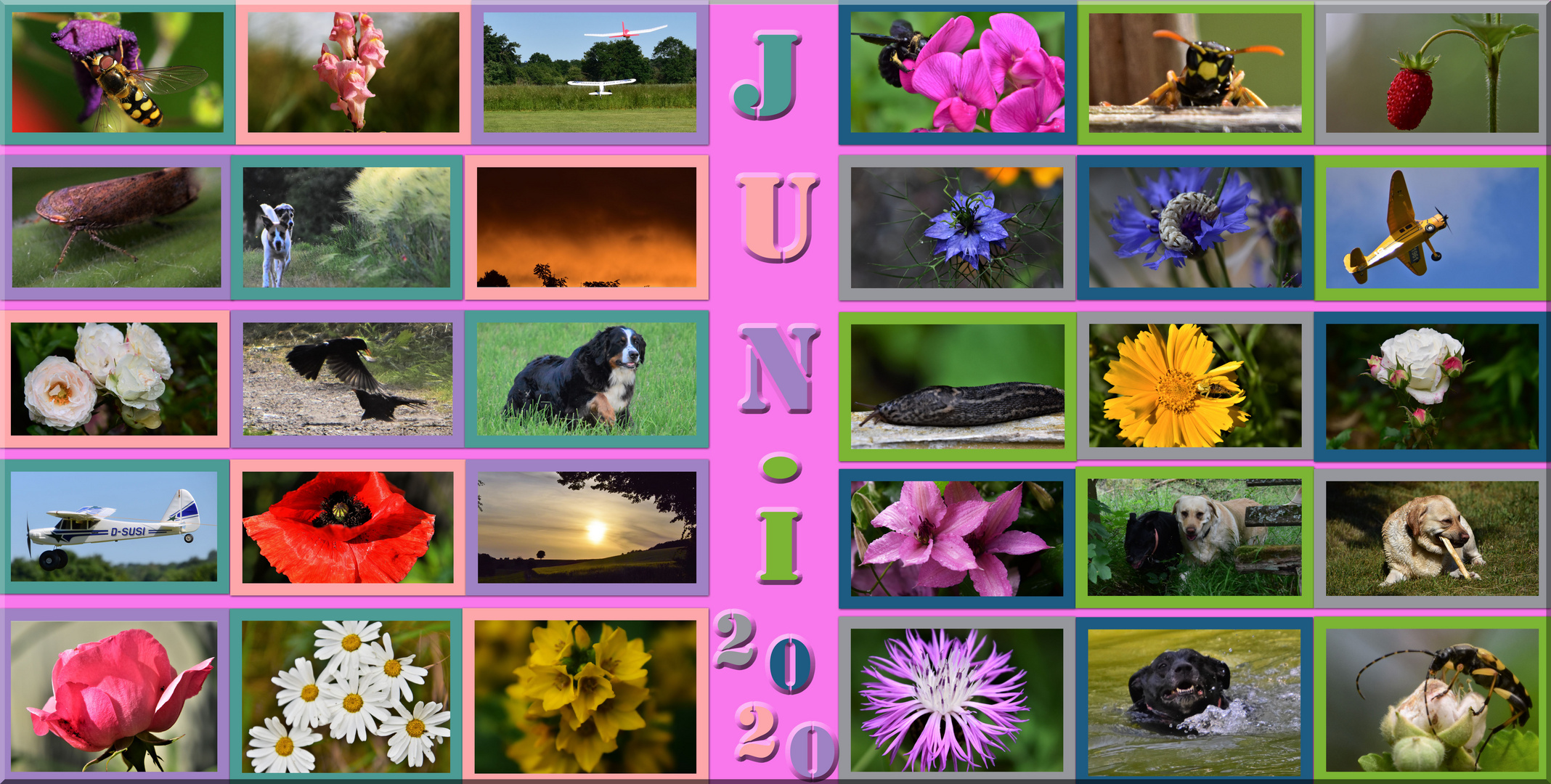 Juni 2020 Rückblick Foto & Bild reportage dokumentation, karten und