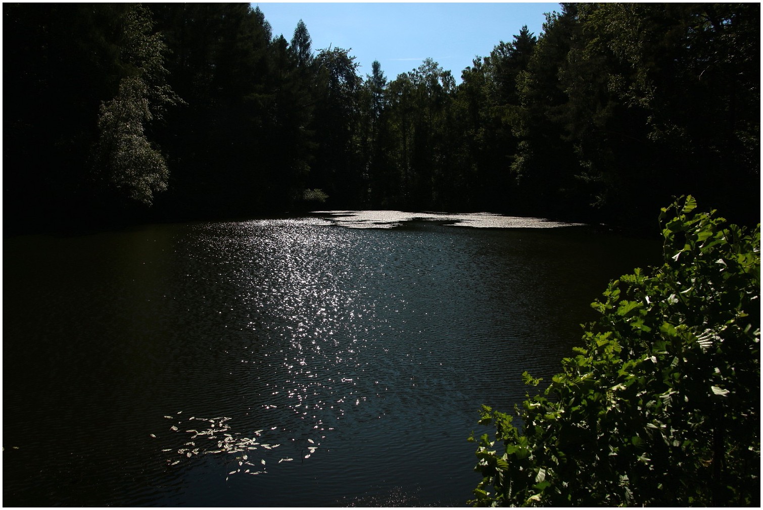 Juni am Schwarzen Teich