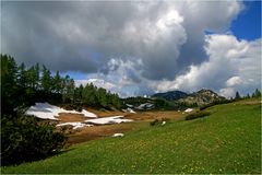 Juni auf der Tauplitzalm