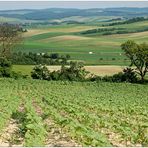 Juni Ausblick