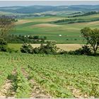 Juni Ausblick