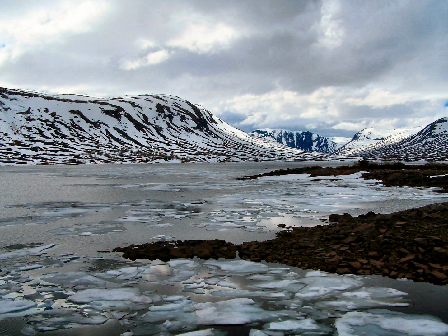 Juni im Fjordland