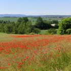 Juni-Landschaft   (2)