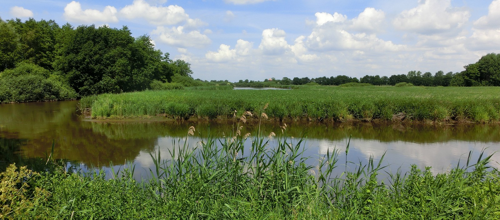 Juni-Landschaft