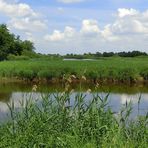 Juni-Landschaft