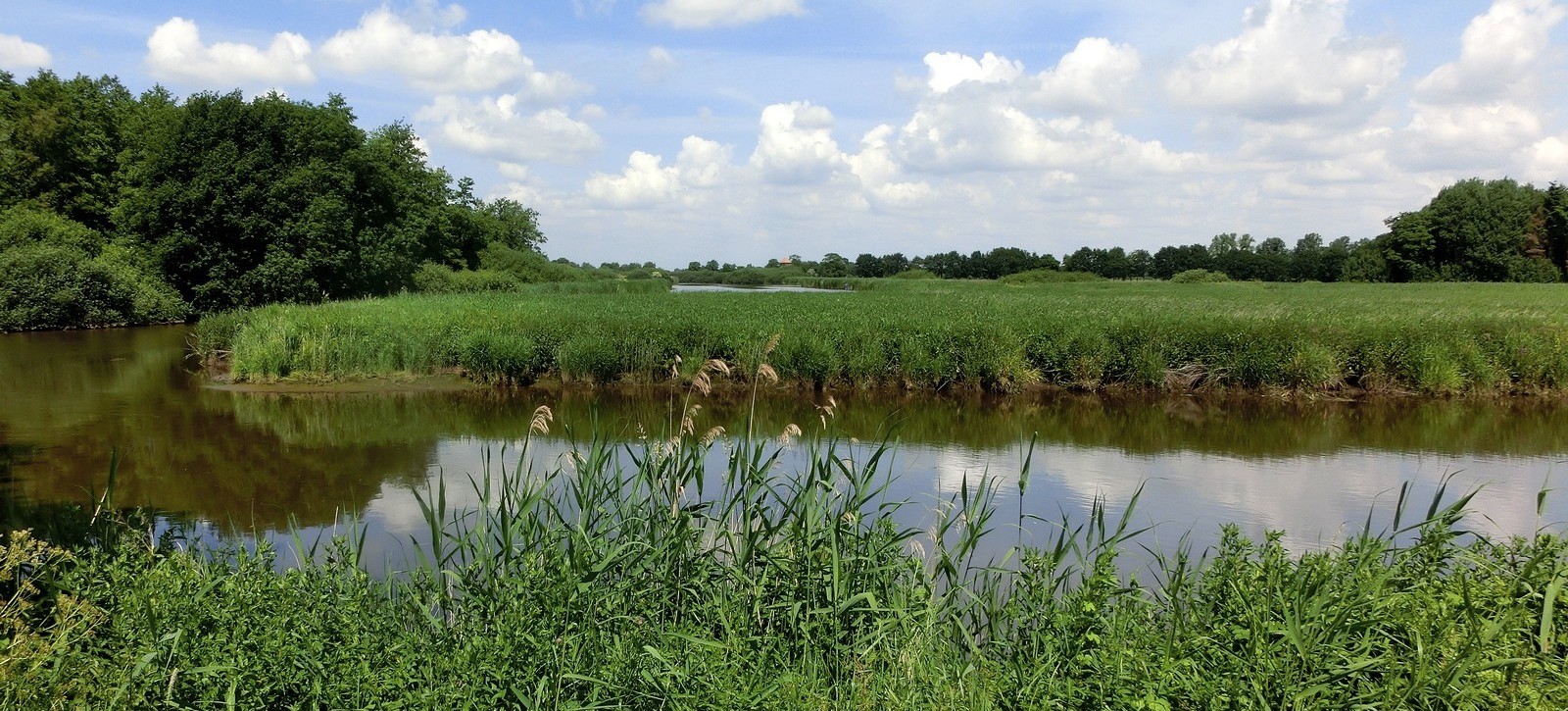 Juni-Landschaft ...