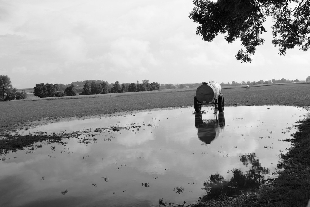 Juni`09-Spiegelbild des Sommers