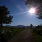 Juniabend am Ruckowitzschachten, Böhmerwald, 1170 m