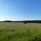 Juniabend in der Eifel