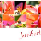 Junifarben 20