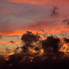 Junihimmel aus meinem Fenster (3)