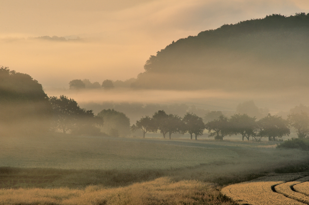 *Junimorgen...*