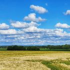 Juninachmittag am Niederrhein