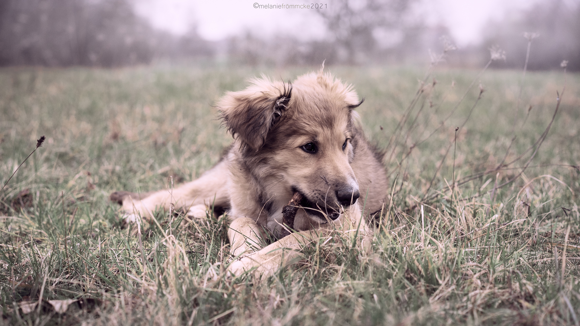 Junior Branch Manager