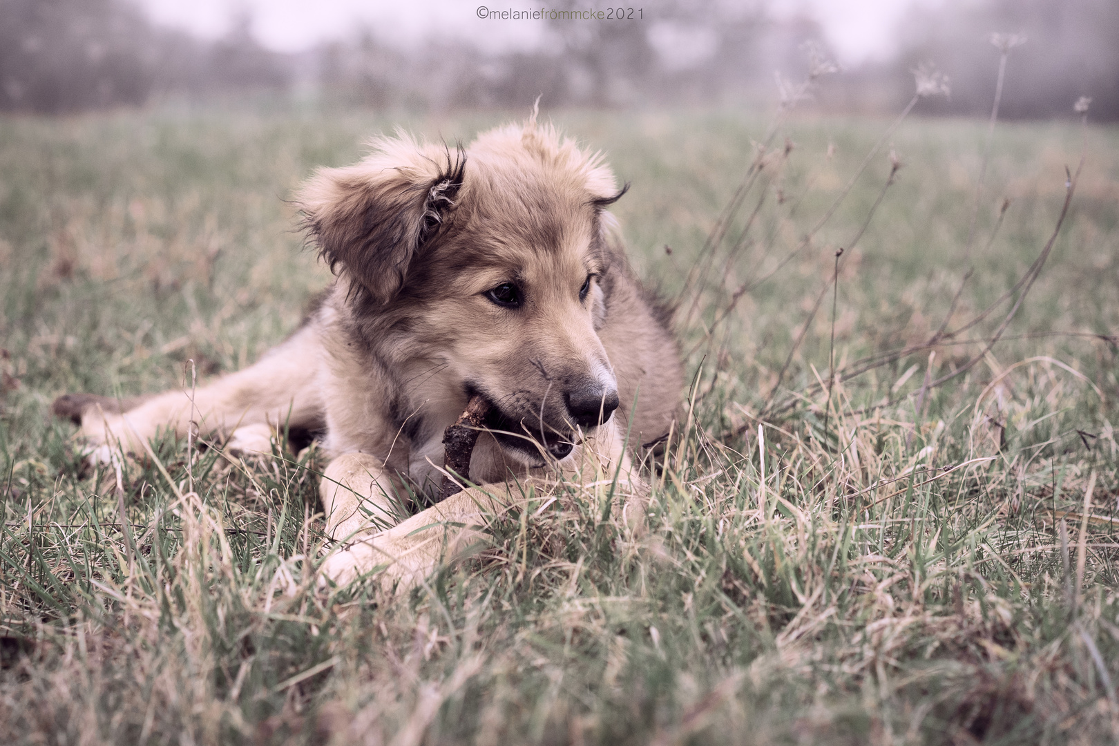 Junior Branch Manager I