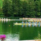 Junior Mens Eight Final