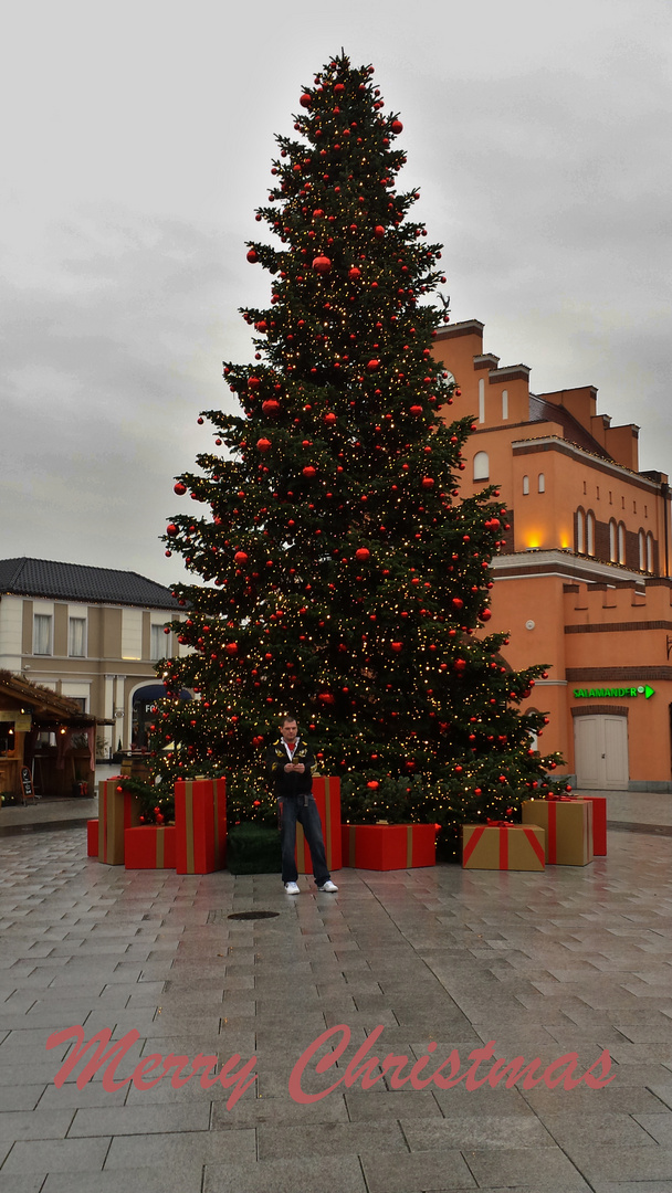 Junior unterm Weihnachtsbaum