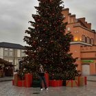 Junior unterm Weihnachtsbaum