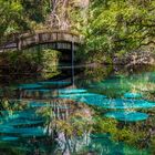 Juniper Springs (USA)