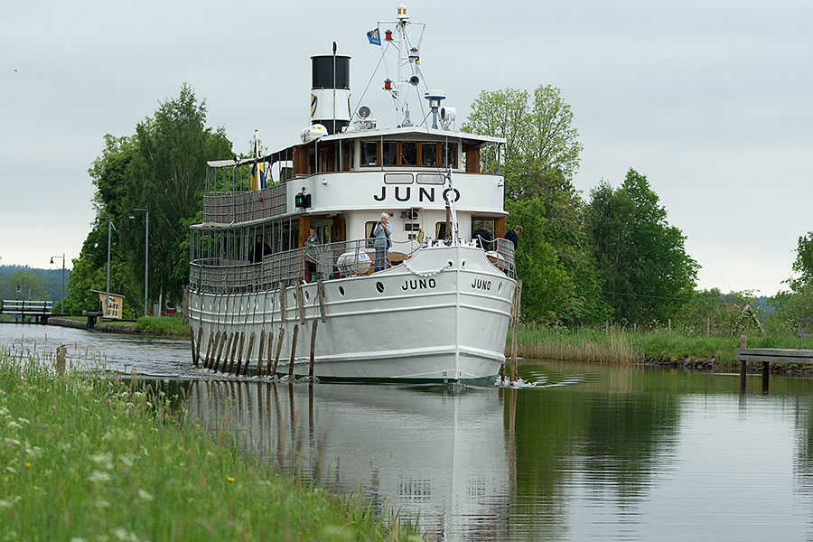 " Juno " II