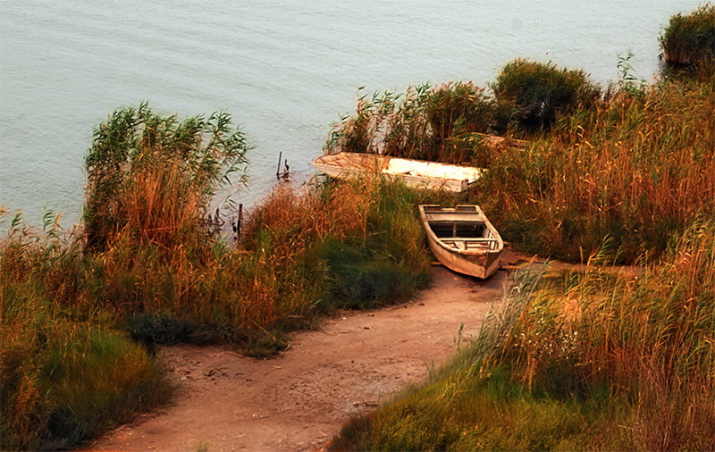 Junto al río