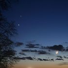 Jupiter, Venus und Mond am 30.11.2008