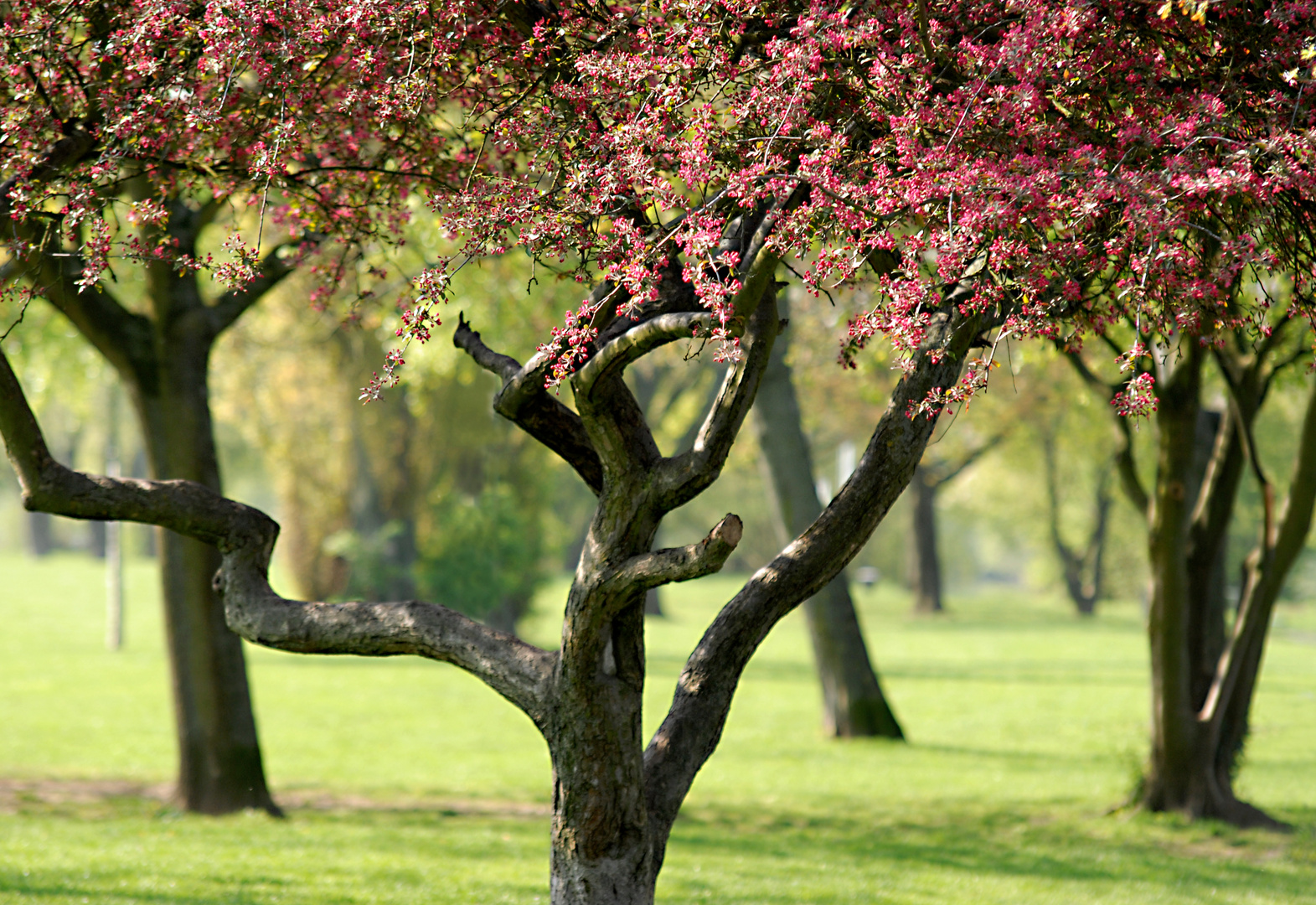 Jupp, eindeutig Frühling!!!