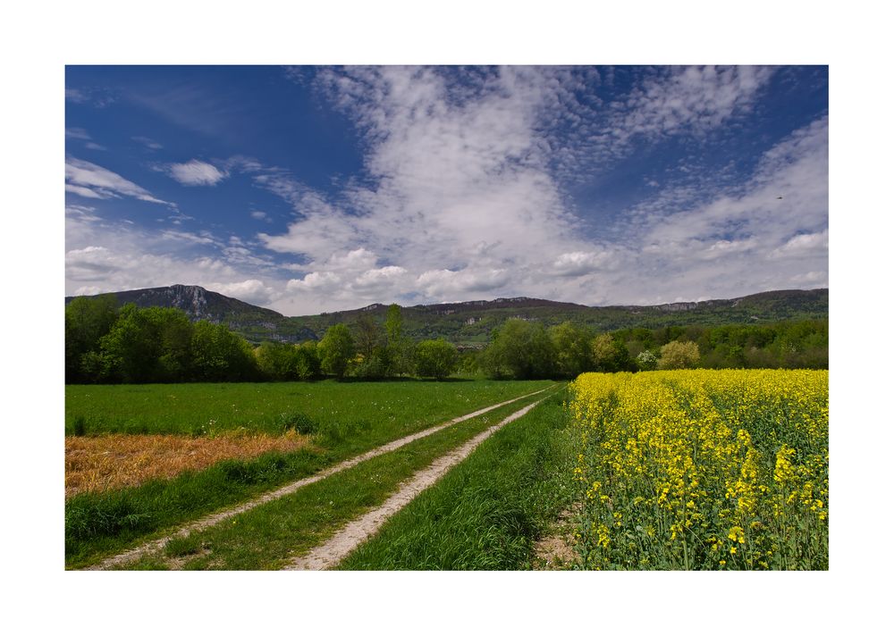 Jura Spaziergang