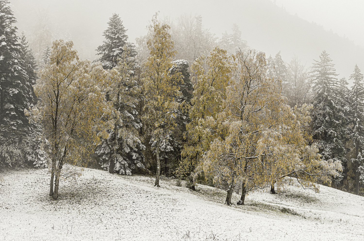 Jura: Wintereinbruch
