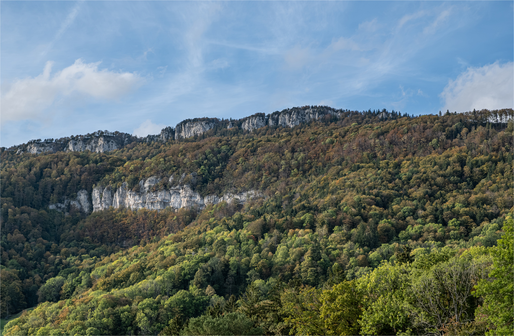 JURAHERBSTWALD