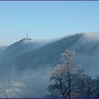 Jurahöhen im Nebel