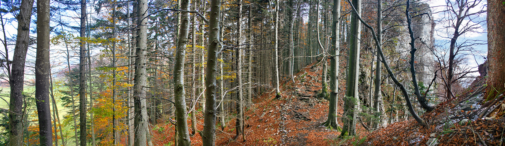 Jurahöhenweg: vom Balmberg zum Grenchenberg