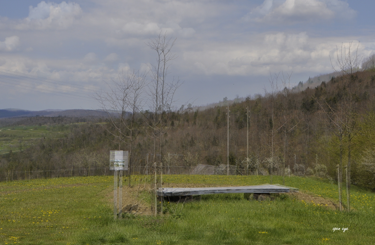 Jurapark - Kt. Aargau - CH - 3D Intertlaced Bild an einem Polfilter Monitor oder 3D TV anschauen