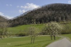 Jurapark - Kt. Aargau - CH - 3D Intertlaced Bild an einem Polfilter Monitor oder 3D TV anschauen