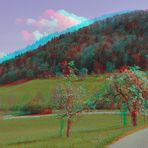 Jurapark - Kt. Aargau - CH  Anaglyphen