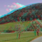 Jurapark - Kt. Aargau - CH  Anaglyphen