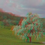 Jurapark - Kt. Aargau - CH  Anaglyphen