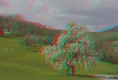 Jurapark - Kt. Aargau - CH  Anaglyphen