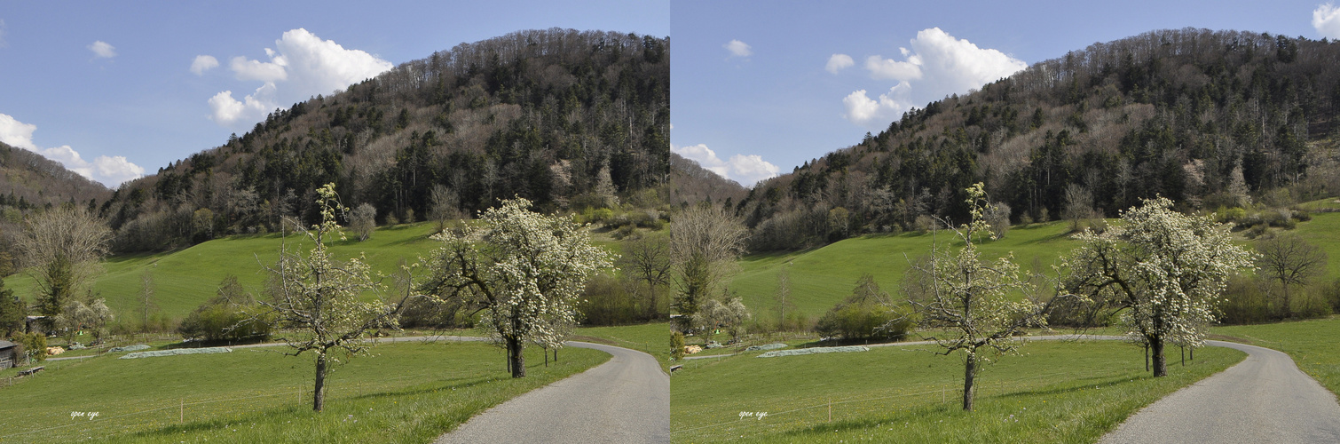 Jurapark - Kt. Aargau - CH  Kreuzblick Stereos