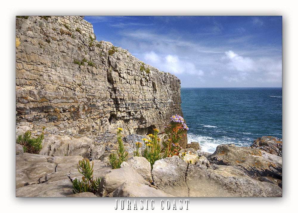 Jurasic Coast