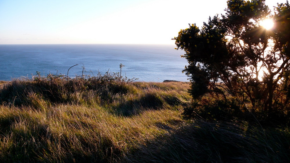 Jurassic Coast von oben