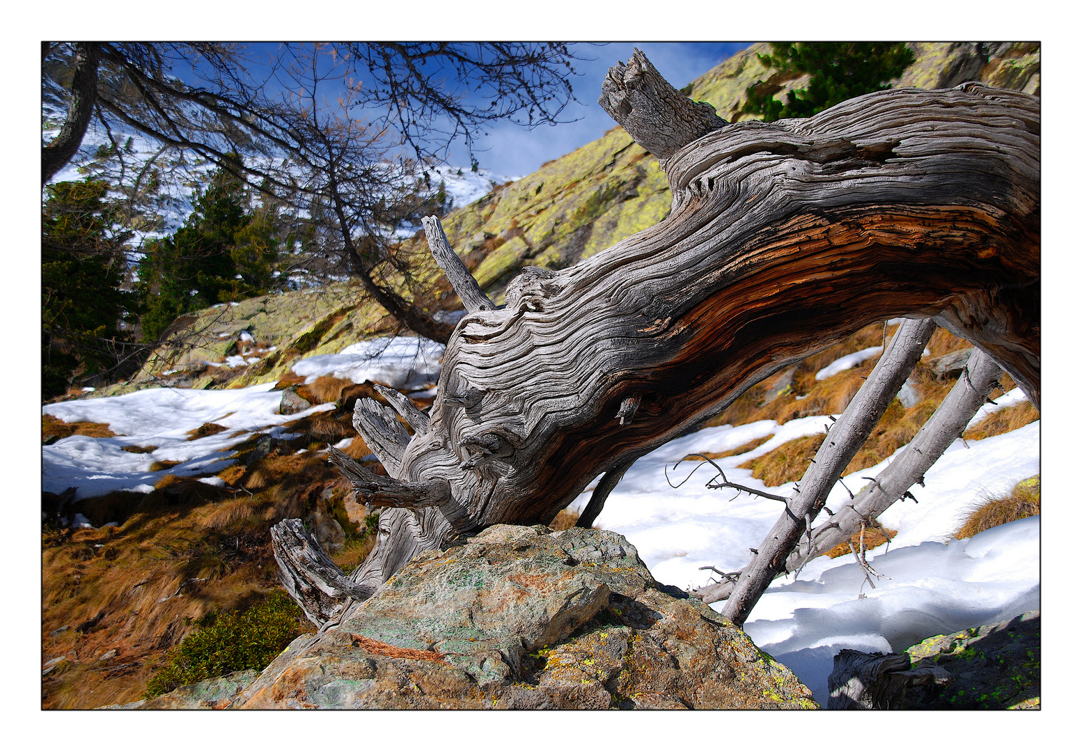 JURASSIC PARC DU MERCANTOUR