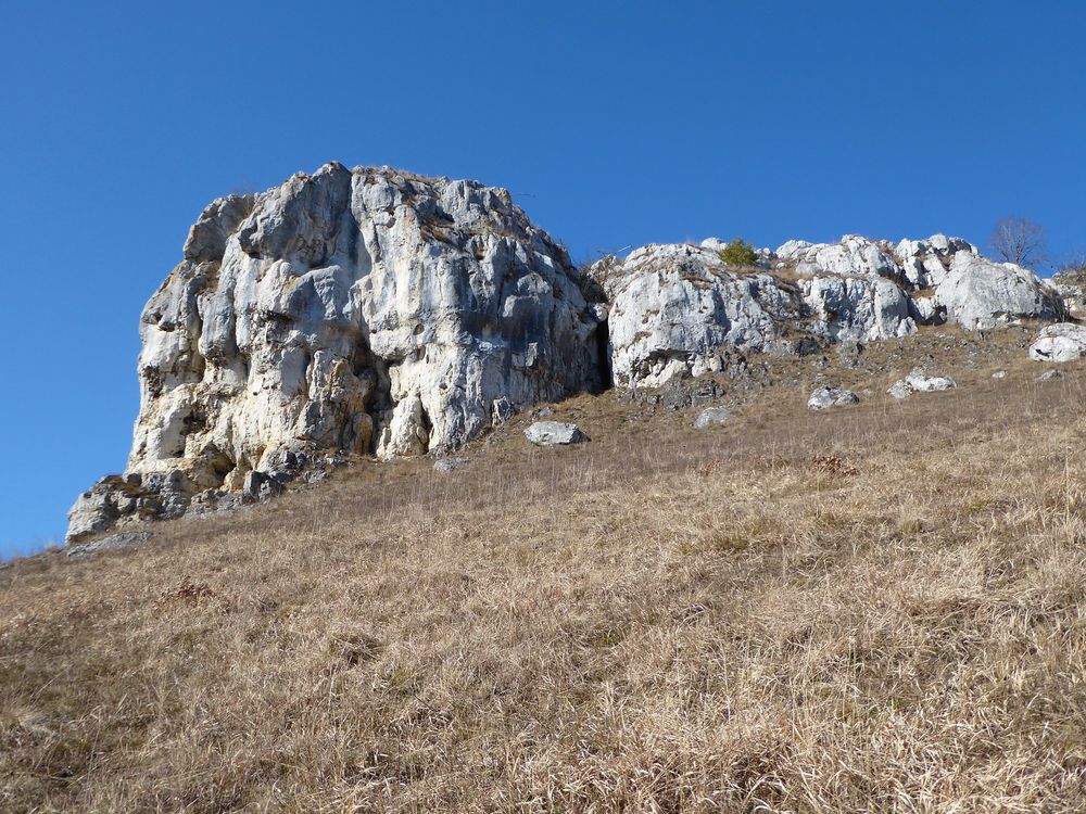 Jurasteig Pfalzlbauernberg