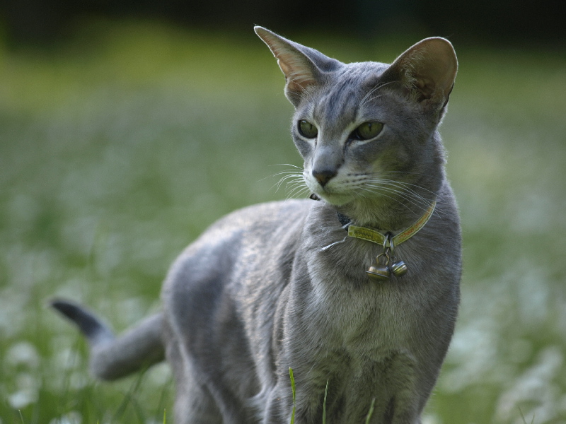 Juri im Garten