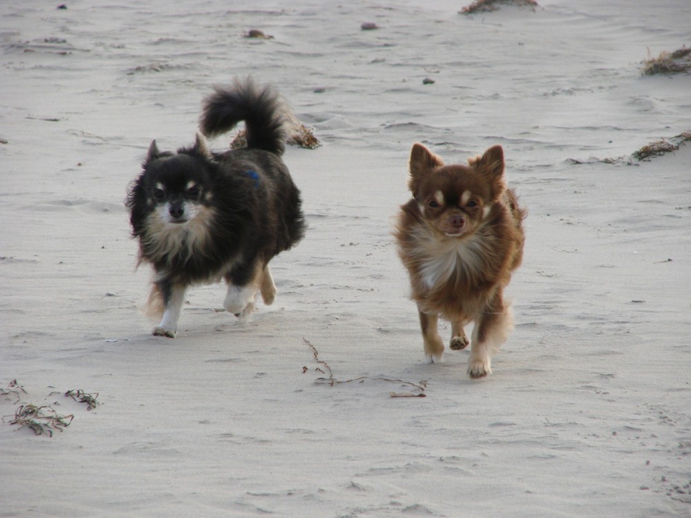 Jurij und Jasti in Rügen