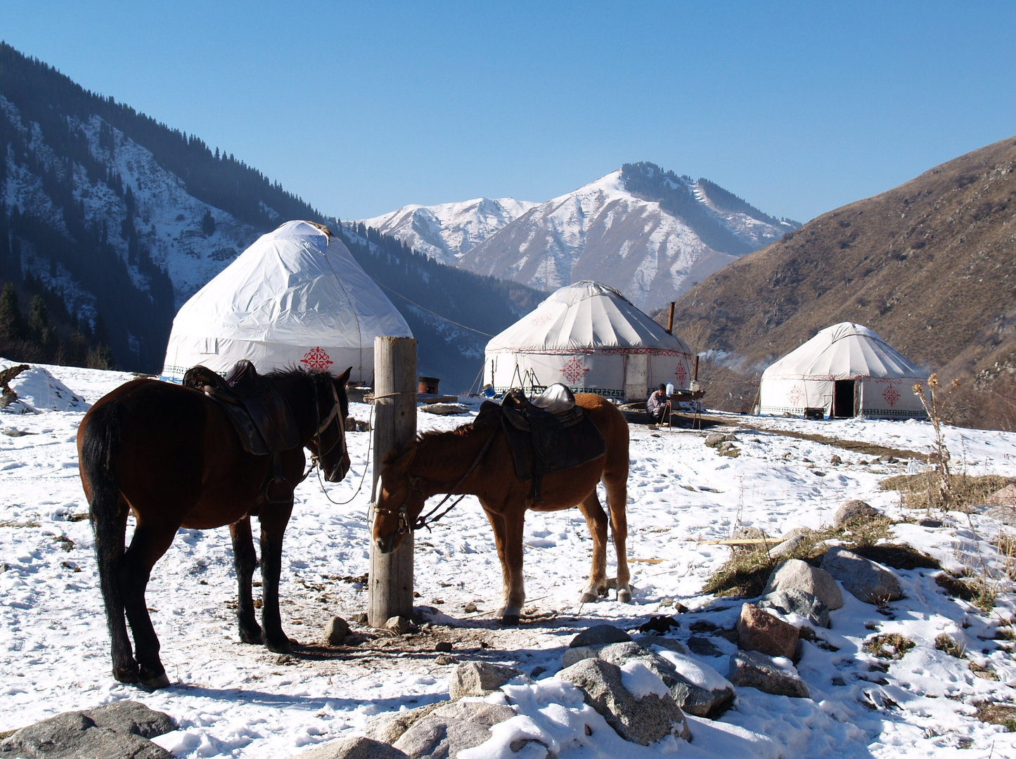 Jurten im Alatau, Kasachstan