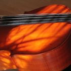 Just a cello.