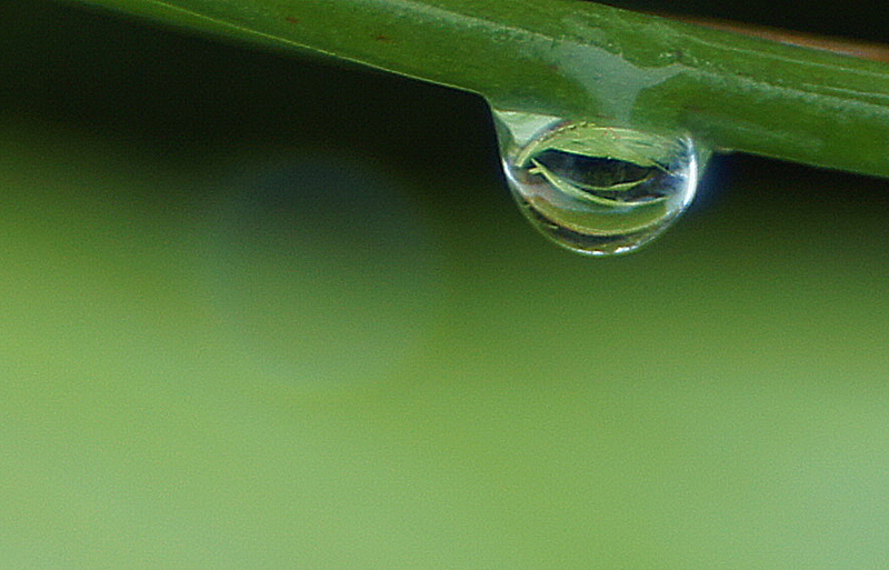 just a drop