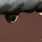 Just a Drop