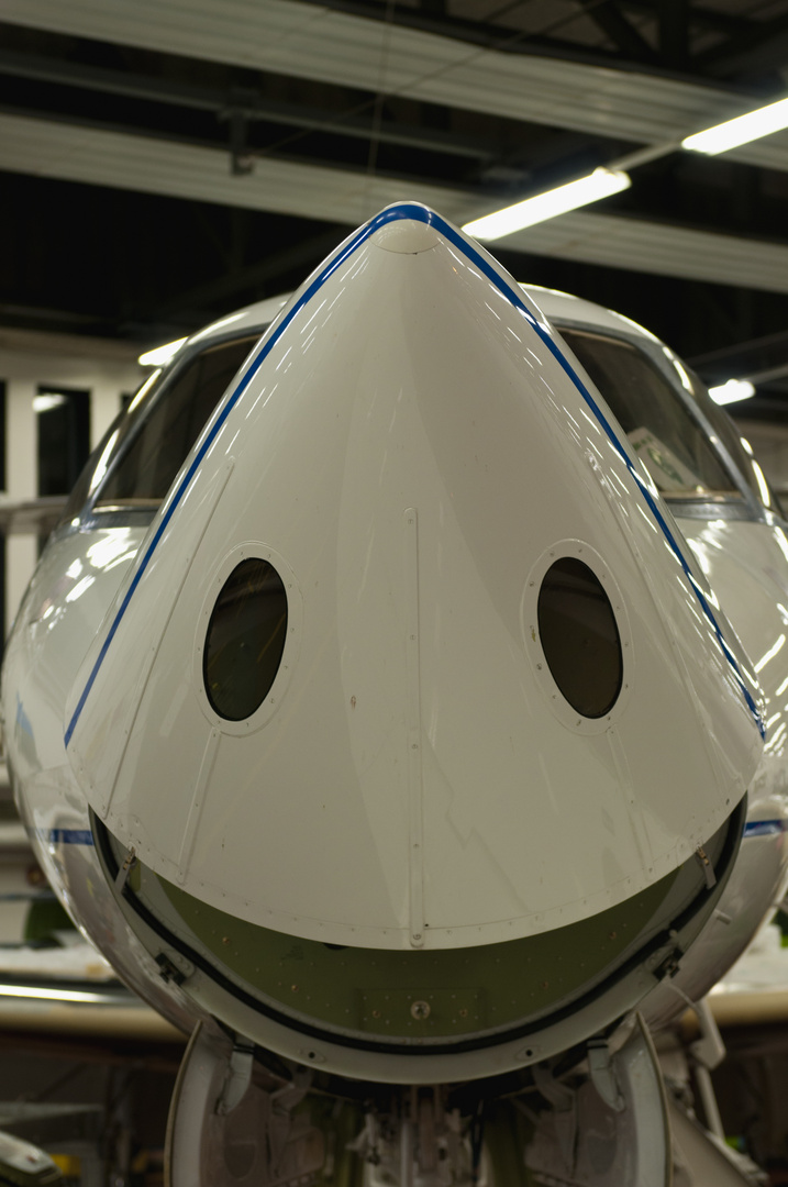 Just a happy airplane